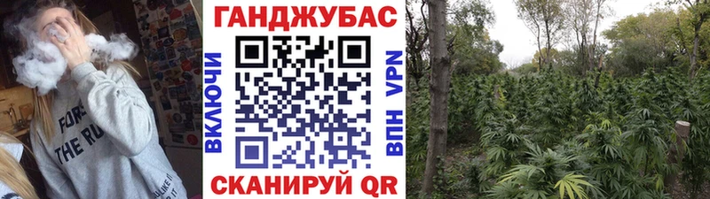 Как найти закладки Бодайбо ГАШИШ  Псилоцибиновые грибы  Мефедрон  Cocaine  А ПВП 