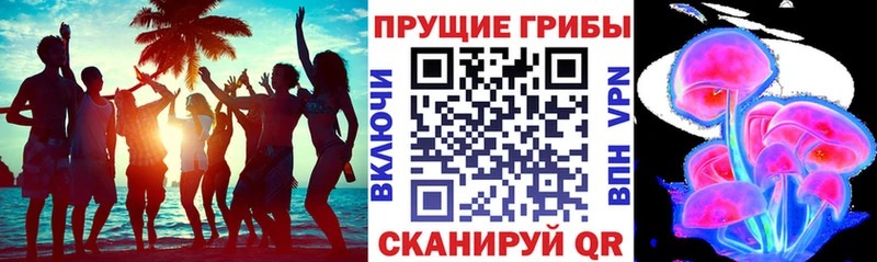 Галлюциногенные грибы GOLDEN TEACHER  как найти   МЕГА ссылка  Бодайбо 
